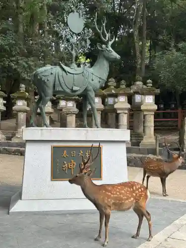 春日大社(奈良県)