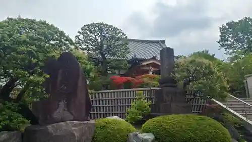 妙蓮寺の庭園