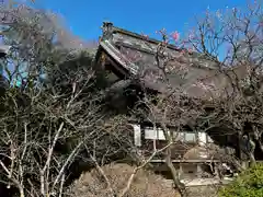 高円寺(東京都)