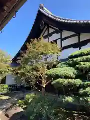 東寺（教王護国寺）(京都府)