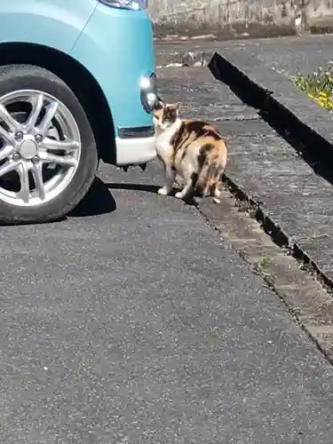 慈雲寺(栃木県)