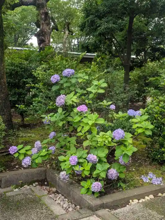 靖國神社(東京都)