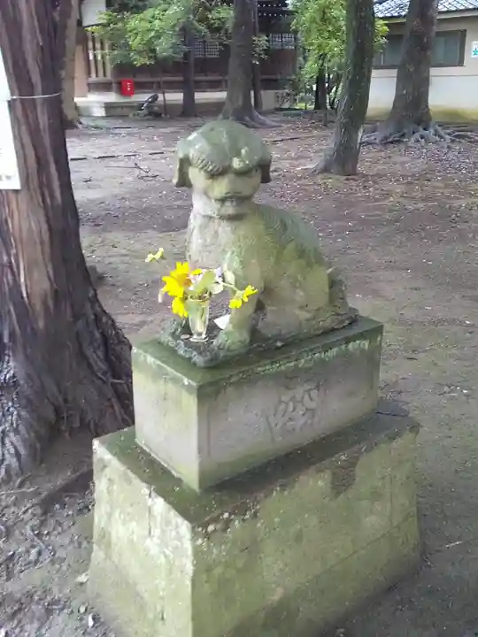 東村山八坂神社の狛犬