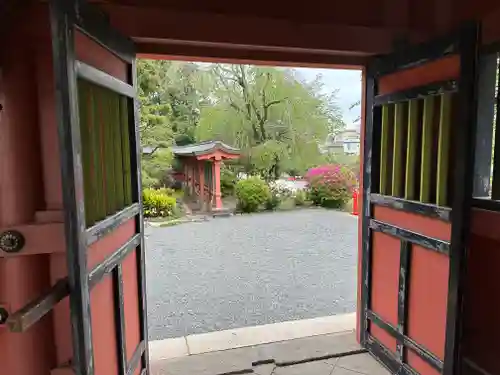 富士山本宮浅間大社(静岡県)