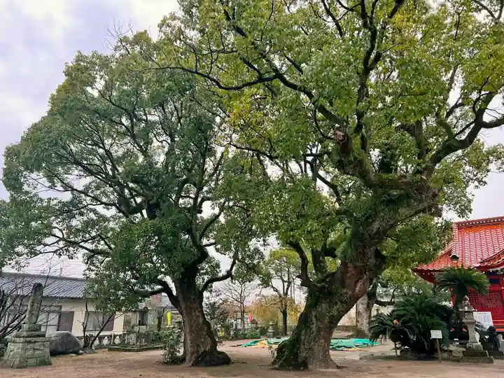 香椎神社(佐賀県)