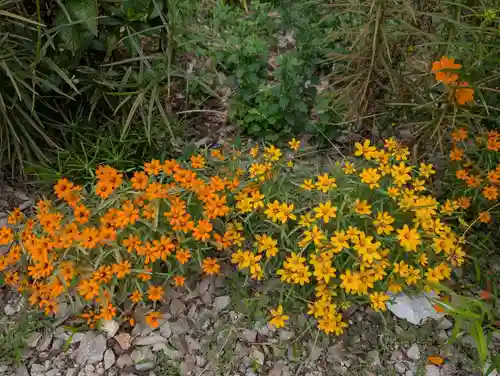 豊景神社(福島県)