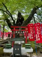 秩父今宮神社の{uncategorized: "未分類", other: "その他", undefined: "問題あり", building: "その他建物", grave: "お墓", sacred_gate: "鳥居", guardian: "狛犬", statue: "像", buddha: "仏像", history: "歴史", nature: "自然", garden: "庭園", animal: "動物", pagoda: "塔", temizu: "手水舎", mountain_gate: "山門・神門", sanctuary: "本殿・本堂", subordinate: "末社・摂社", art: "芸術", scenery: "景色", jizo: "地蔵", ema: "絵馬", goshuin: "御朱印", omikuji: "おみくじ", items: "授与品その他", amulet: "お守り", goshuincho: "御朱印帳", eats: "食事", festival: "お祭り", votive_dance: "神楽", shichigosan: "七五三参", wedding: "結婚式", experience: "体験その他", initially: "初詣", around: "周辺", anti_infection: "感染症対策"}