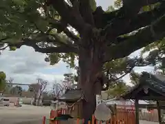 百舌鳥八幡宮(大阪府)