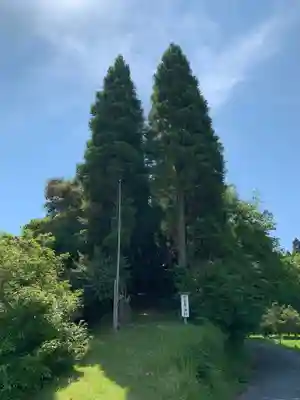 菅原神社の周辺