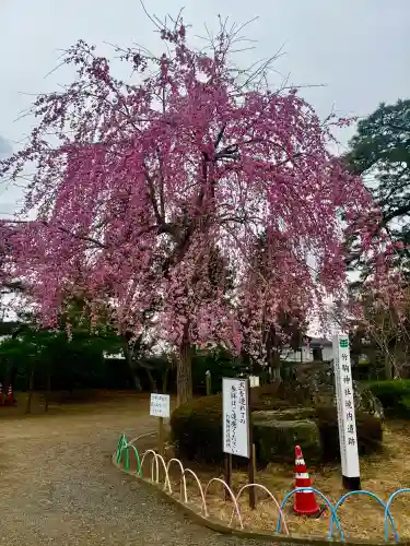 竹駒神社の{uncategorized: "未分類", other: "その他", undefined: "問題あり", building: "その他建物", grave: "お墓", sacred_gate: "鳥居", guardian: "狛犬", statue: "像", buddha: "仏像", history: "歴史", nature: "自然", garden: "庭園", animal: "動物", pagoda: "塔", temizu: "手水舎", mountain_gate: "山門・神門", sanctuary: "本殿・本堂", subordinate: "末社・摂社", art: "芸術", scenery: "景色", jizo: "地蔵", ema: "絵馬", goshuin: "御朱印", omikuji: "おみくじ", items: "授与品その他", amulet: "お守り", goshuincho: "御朱印帳", eats: "食事", festival: "お祭り", votive_dance: "神楽", shichigosan: "七五三参", wedding: "結婚式", experience: "体験その他", initially: "初詣", around: "周辺", anti_infection: "感染症対策"}