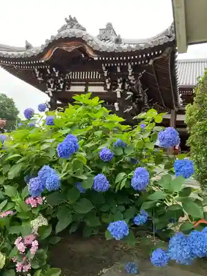 長慶寺(大阪府)