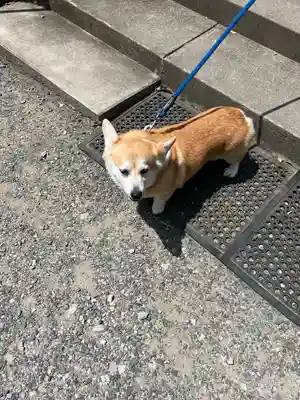 姫宮神社(宮城県)