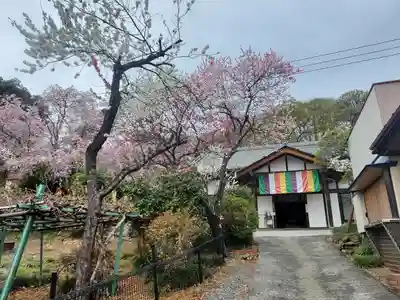 音楽寺(埼玉県)
