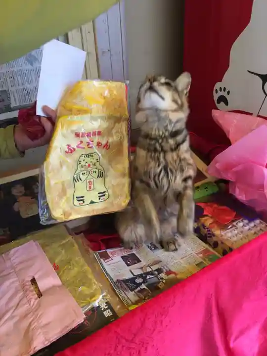 寶当神社の動物