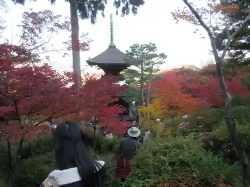 常寂光寺の景色