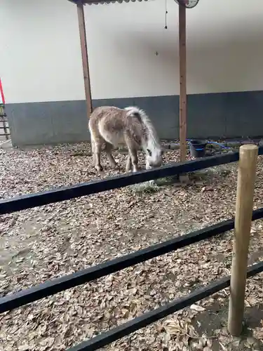 平塚八幡宮(神奈川県)