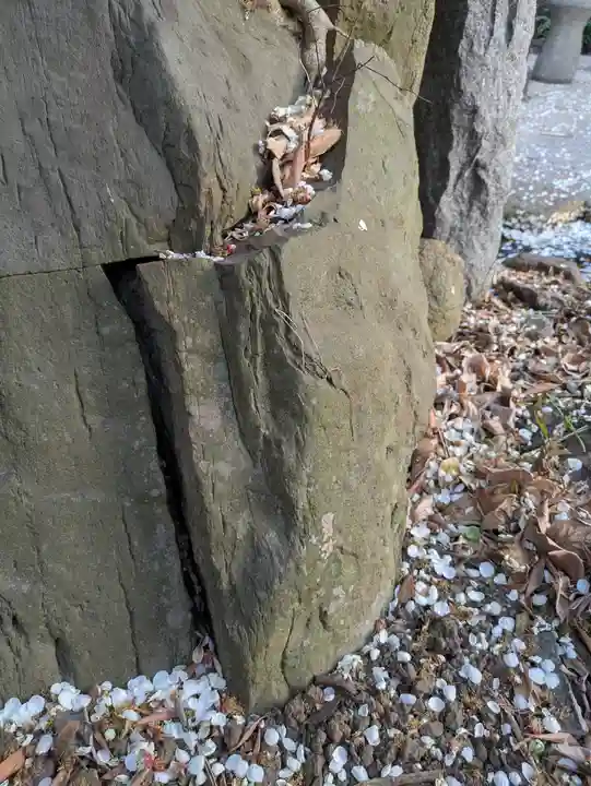 玉眞院玉川大師(東京都)