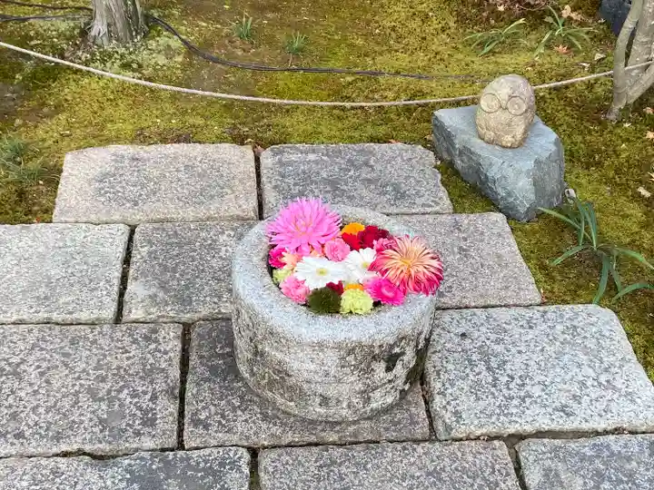 勝林寺(京都府)