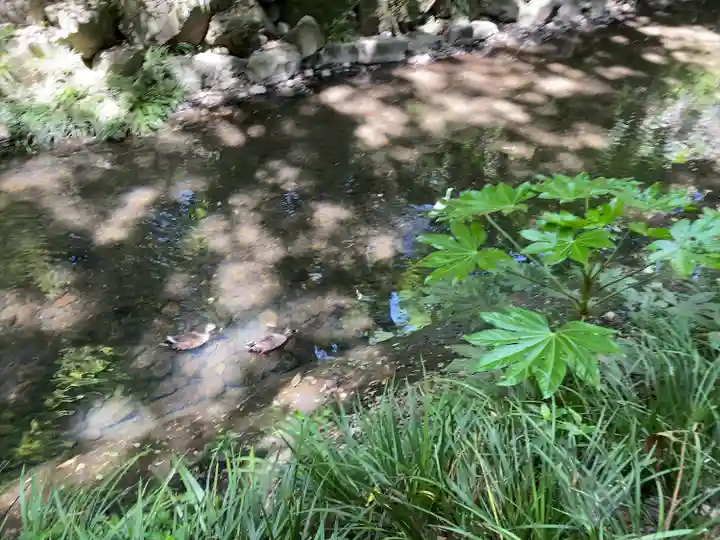 明王院(満願寺別院)の周辺