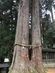 伊和神社の自然