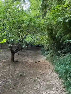 熊野神社(千葉県)