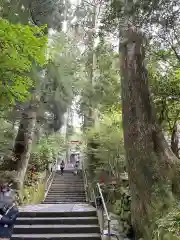 箱根神社の建物その他