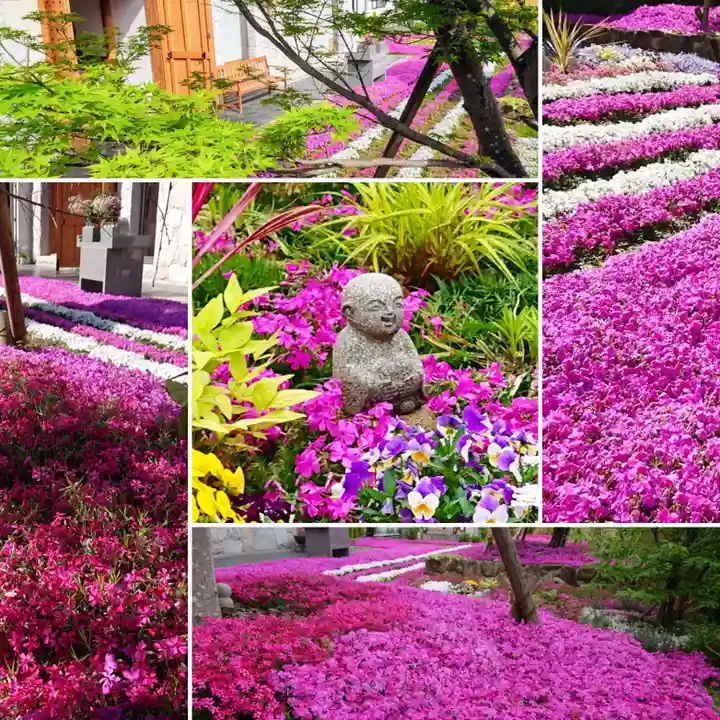寿量山 速成寺の庭園