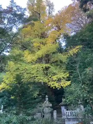 妙本寺(神奈川県)