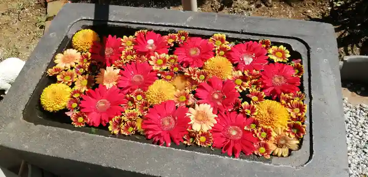 法輪寺の手水舎