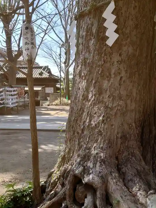 麻賀多神社の自然