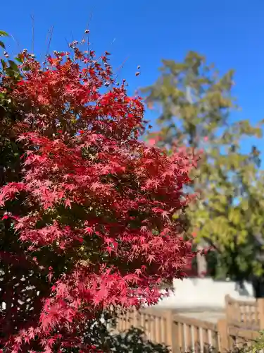 常樂寺(滋賀県)