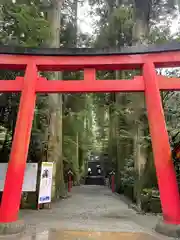 箱根神社の鳥居