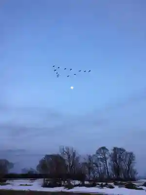 金比羅神社(北海道)