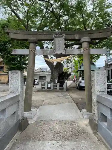 阿邪訶根神社の鳥居