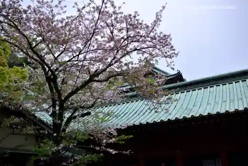 静岡浅間神社のその他建物