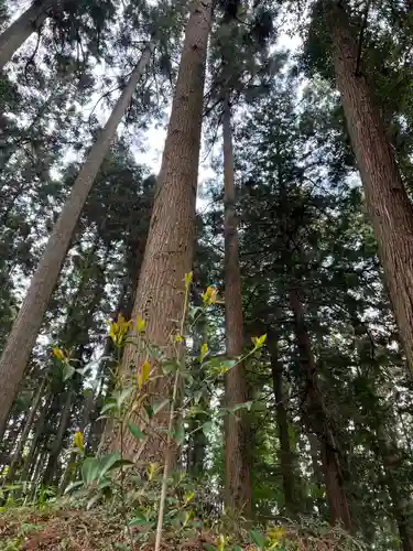 大宮温泉神社(栃木県)