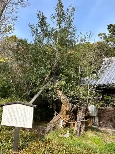 御崎神社(和歌山県)