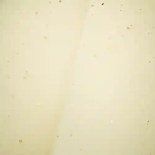 日蓮宗 総本山 塔頭 定林坊(じょうりんぼう)(山梨県)