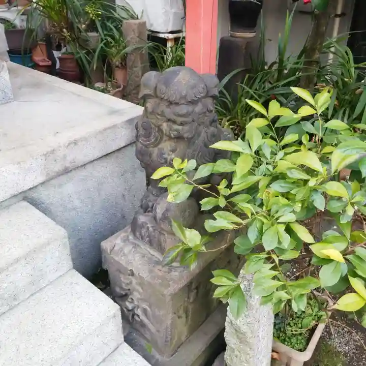 亀塚稲荷神社の狛犬