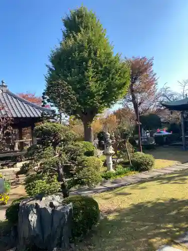 貞昌院の庭園