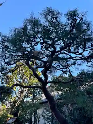 仮宿院(東京都)