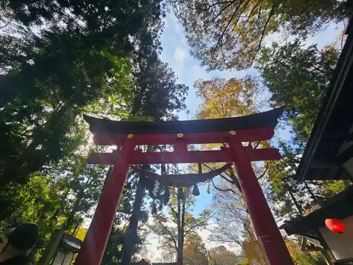 伊佐須美神社(福島県)