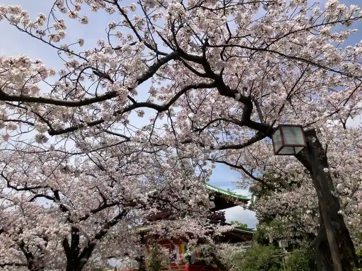 孝道山の{uncategorized: "未分類", other: "その他", undefined: "問題あり", building: "その他建物", grave: "お墓", sacred_gate: "鳥居", guardian: "狛犬", statue: "像", buddha: "仏像", history: "歴史", nature: "自然", garden: "庭園", animal: "動物", pagoda: "塔", temizu: "手水舎", mountain_gate: "山門・神門", sanctuary: "本殿・本堂", subordinate: "末社・摂社", art: "芸術", scenery: "景色", jizo: "地蔵", ema: "絵馬", goshuin: "御朱印", omikuji: "おみくじ", items: "授与品その他", amulet: "お守り", goshuincho: "御朱印帳", eats: "食事", festival: "お祭り", votive_dance: "神楽", shichigosan: "七五三参", wedding: "結婚式", experience: "体験その他", initially: "初詣", around: "周辺", anti_infection: "感染症対策"}