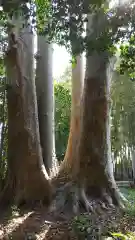 酒門神社の自然