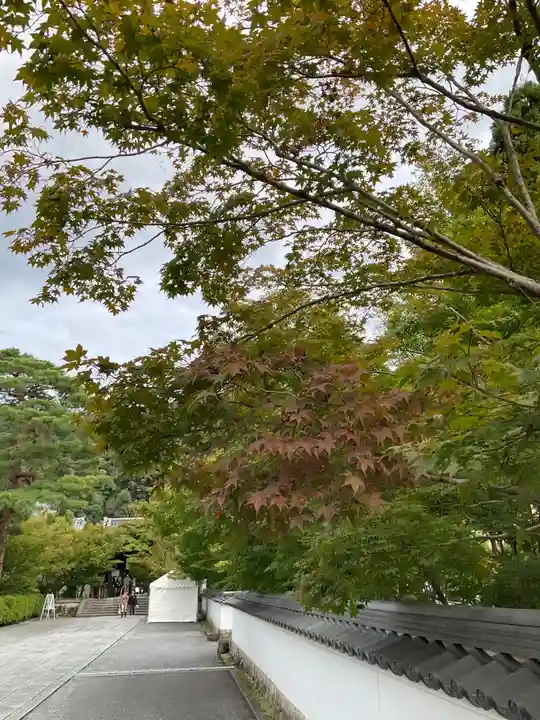 禅林寺(永観堂)(京都府)