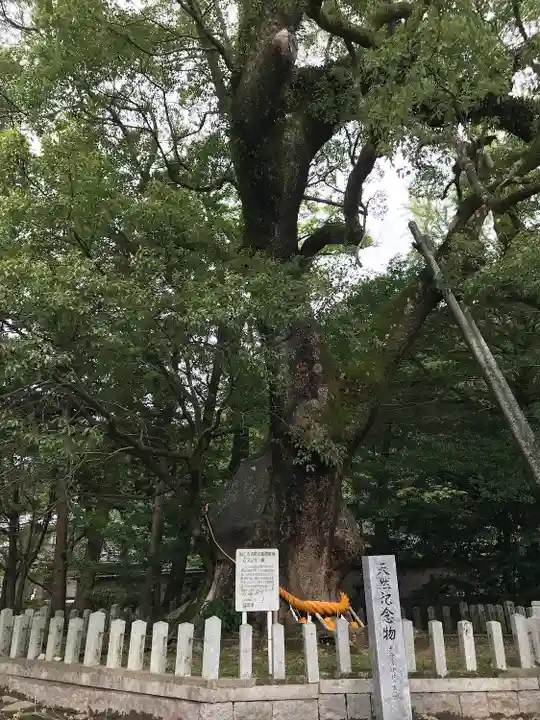 大分八幡宮(福岡県)