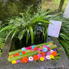 武田神社の手水