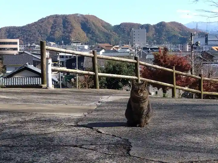 妙行寺(福井県)