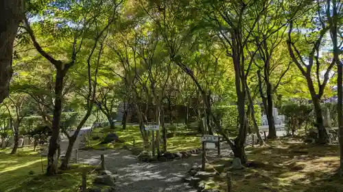 化野念仏寺(京都府)