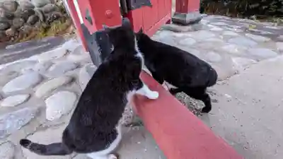 妙雲寺(岐阜県)